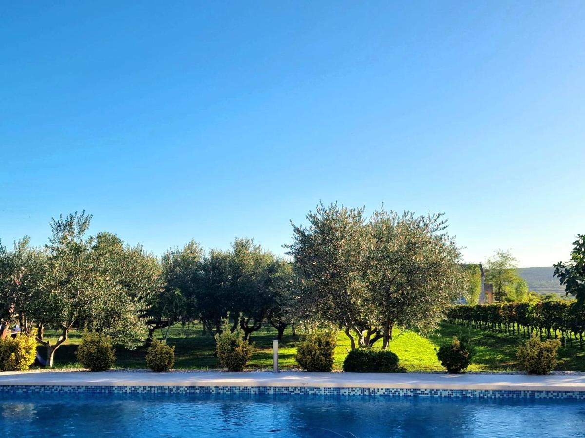 Villa Lorema-Pet Friendly On 5000 Sqm Garden,Pool, Jacuzzi, Billiard&Ps5 Sveti Filip i Jakov Exteriér fotografie