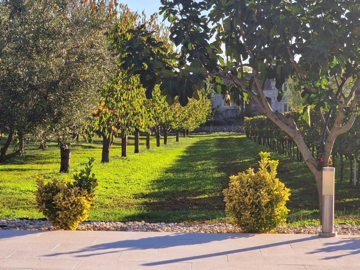 Villa Lorema-Pet Friendly On 5000 Sqm Garden,Pool, Jacuzzi, Billiard&Ps5 Sveti Filip i Jakov Exteriér fotografie