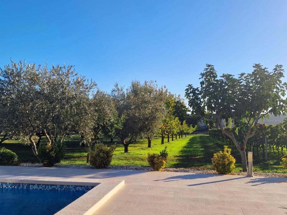 Villa Lorema-Pet Friendly On 5000 Sqm Garden,Pool, Jacuzzi, Billiard&Ps5 Sveti Filip i Jakov Exteriér fotografie